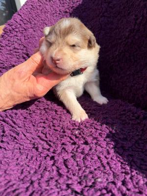 images/J-Wurf/Jill Sander/430fadbd-385e-4332-94e4-b02fc6df5777.jpg